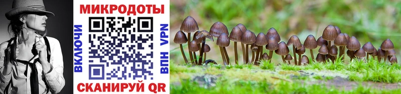 купить закладку  Белинский  Галлюциногенные грибы Psilocybine cubensis 